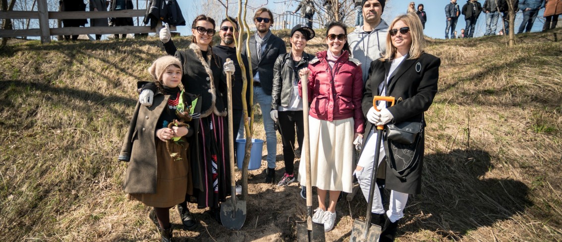 From the sketch to reality: the willow of Mavka will grow at the film studio FILM.UA