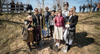 From the sketch to reality: the willow of Mavka will grow at the film studio FILM.UA