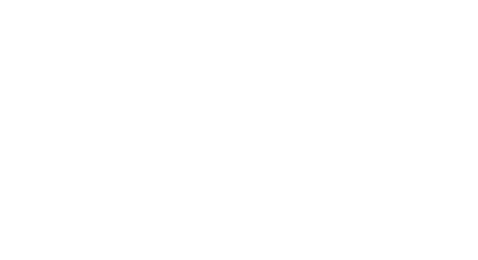 Онлайн-конференція продюсерів анімаційного фільму «Мавка. Лісова пісня»