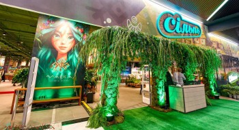 Mavka’s Universe in Kyiv: a Specially Decorated ‘Silpo’ Supermarket, Adorned with Art from the Animated Film